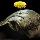Illustration for article titled The Very Best Science Fiction And Fantasy Books Of 2015